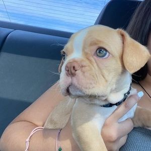 Meet your Posher, Salazar